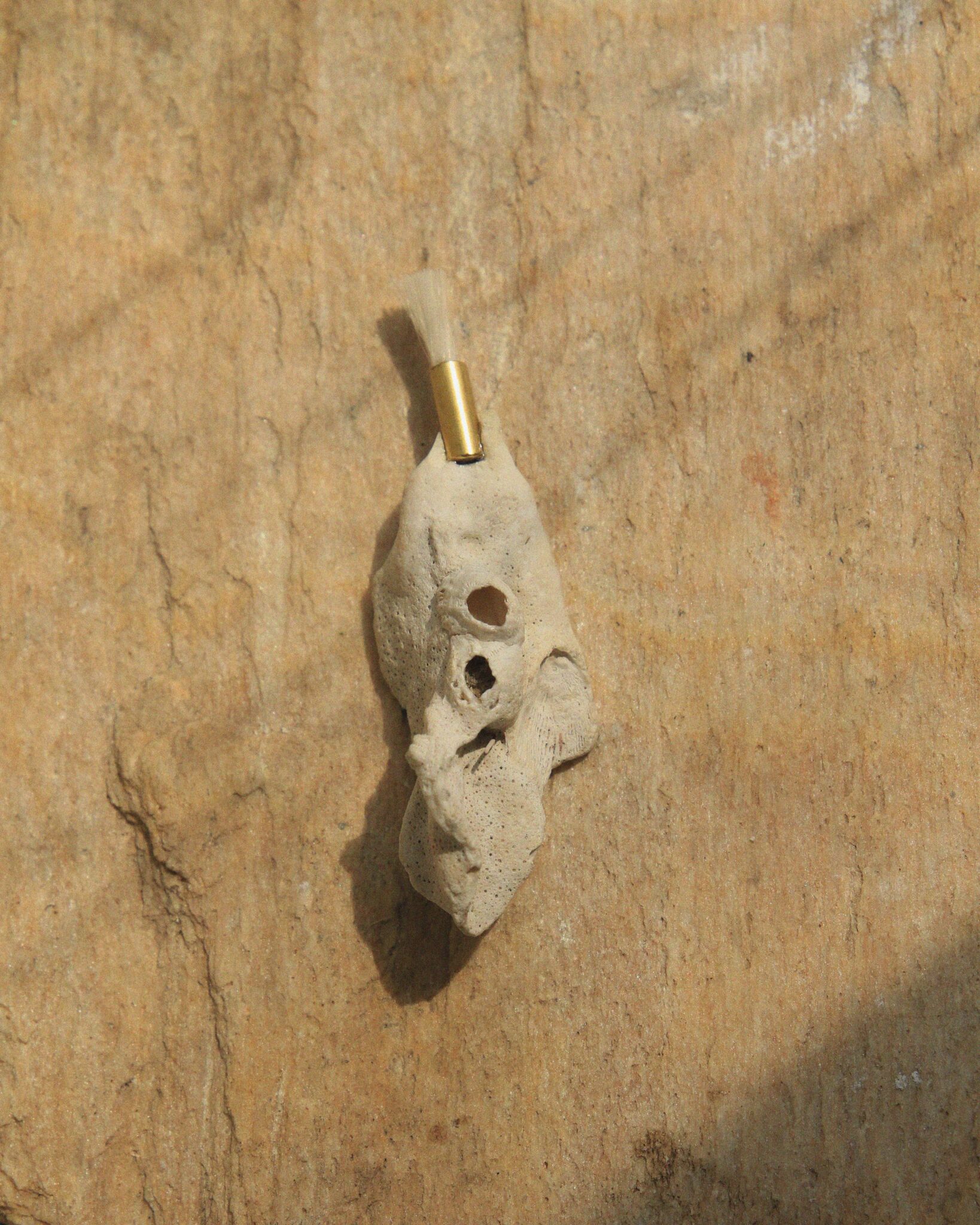 Skarabeusz Exuvia
